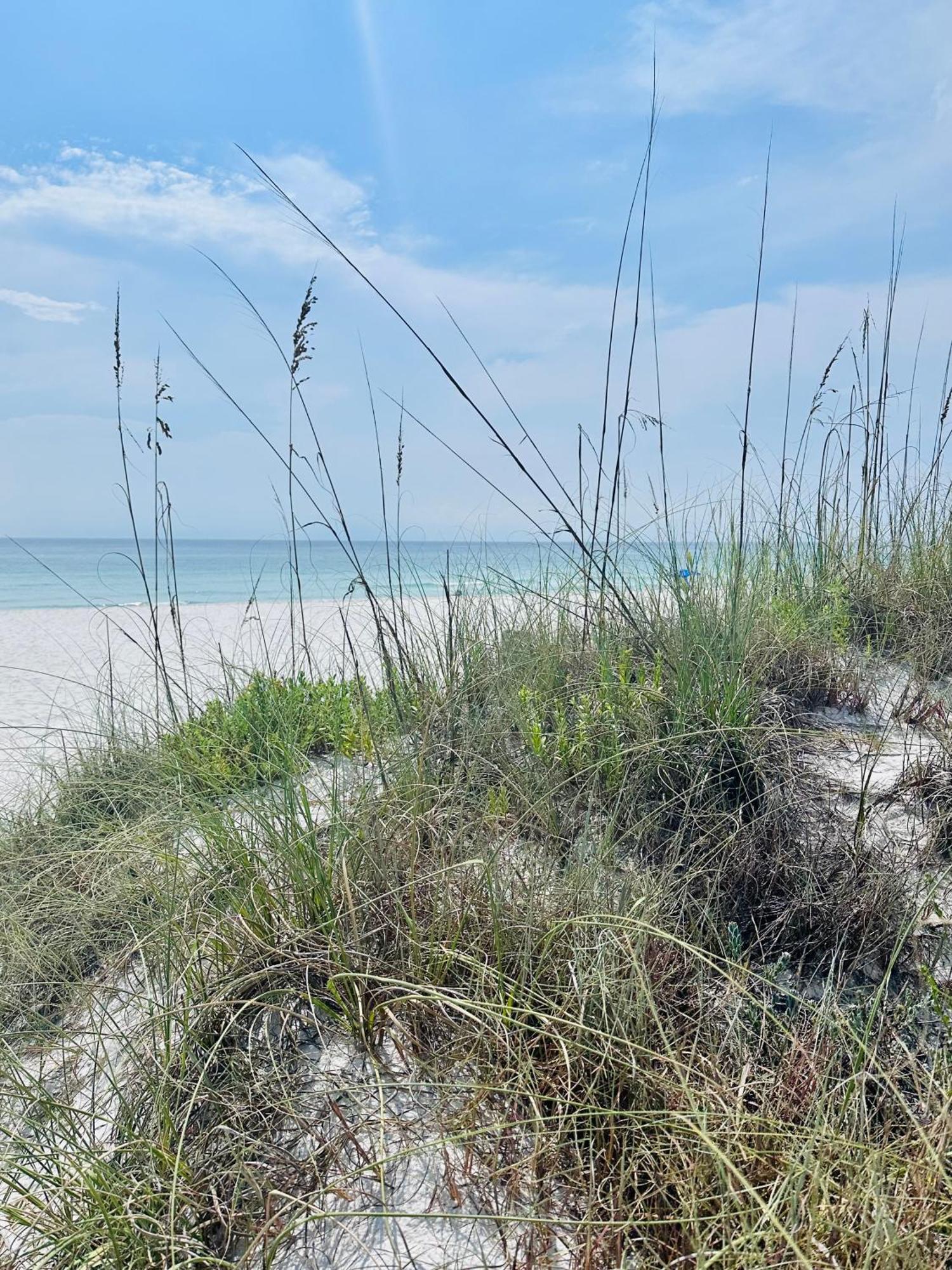 Sea Salt Vacation Home, Private Pool - Walk To Beach Panama City Beach Zewnętrze zdjęcie
